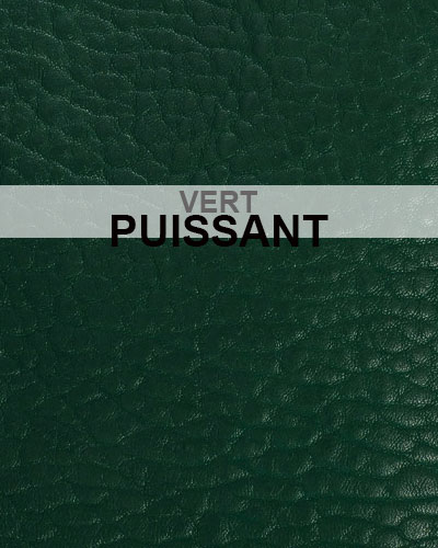 Cuir Couleur Vert Puissant Virginie Darling